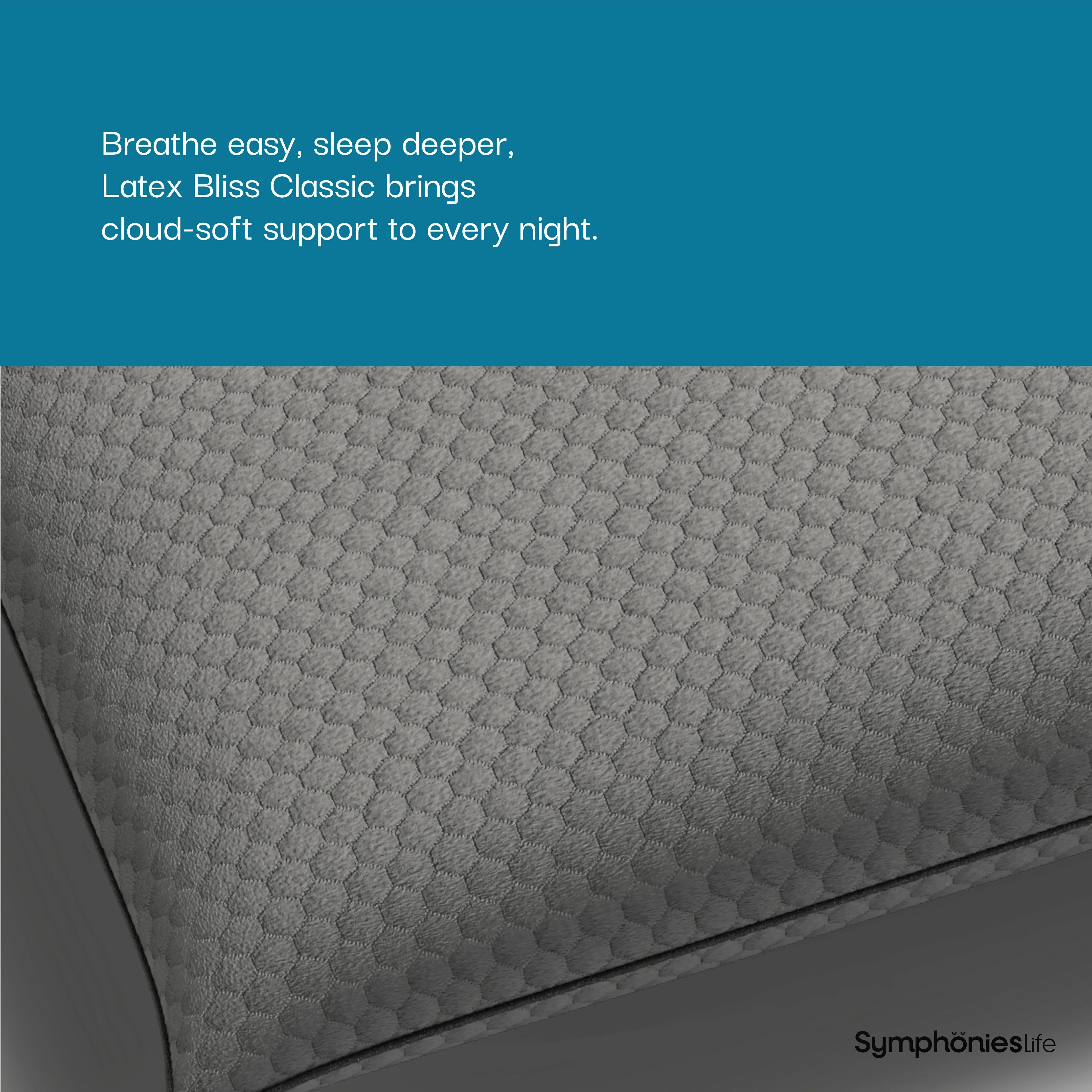 Latex Bliss Classic Pillow